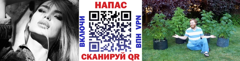 Бошки марихуана Bruce Banner  где купить наркоту  Киренск 